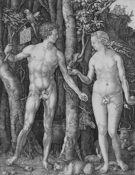 Albrecht Dürer, € 30.000 - 40.000