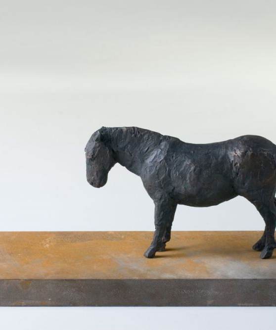 Pferd, 2008