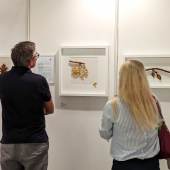 2 auf einer arte kunstmesse (c) arte kunstmessen gmbh