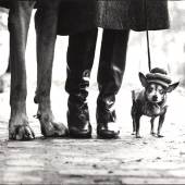 006 ELLIOTT ERWITT (*1928) New York City, 1974 37,2 x 55,5 cm, Silbergelatineabzug Startpreis: 3.000 € / Schätzpreis: 5.000–6.000 €