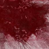 Hermann Nitsch, Schüttbild, 69. Malaktion, Acryl auf Leinwand, 200 x 300 cm, 2014 © Atelier Nitsch