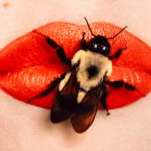 Irving Penn, Bee on Lips, New York, 1995, print made 1999. Dye transfer print. 40.3 x 57.2 cm (15.87 x 22.52 in). © Irving Penn Foundation. 