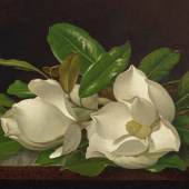 Martin Johnson Heade (1819-1904), Magnolias on a Shiny Table, c. 1885-95. Oil on canvas. 14 x 22 in (35.6 x 55.9 cm). Estimate: $700,000-1,000,000. Offered in 19th Century American and Western Art on 23 January 2025 at Christie’s in New York