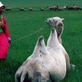 Ulrike Ottinger, Johanna d'Arc of Mongolia, 1989, Courtesy Sammlung Goetz