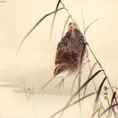 Okuhara Seiko (1837-1913) zugeschrieben  Eine Schnepfe (Bekassine, Gallinago gallinago) nähert sich dem Wasser, Schilfgras wächst im Vordergrund.