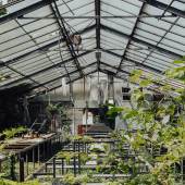 The Pasino Glasshouses. Photo: Piergiorgio Sorgetti